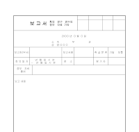 보고서 (2) 보고서 (2)